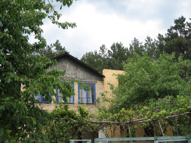 Read more about the article Жилой дом 220 м.кв.